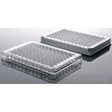 Nicht abnehmbare transparente ELISA-Platten