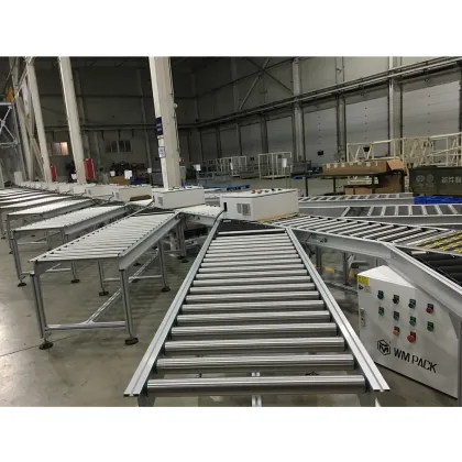 Linear Roller Conveyor for E-commerce Logistics: Parcel Sorting and Conveying Equipment