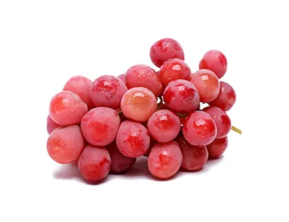 Dunhuang fresh red globe grapes high quality red globe grape strong quality red grapes for sale
