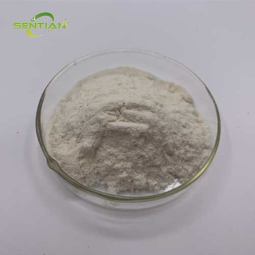Premium Flaxseed Protein Powder from Natural Plant Extracts