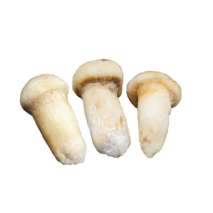 Fresh Frozen Matsutake Mushrooms By Air Transport