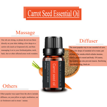 Good Quality Carrot Seed Essential Oil for SkinCare