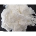 /msite/products/detail/productid/66684011/id/1354525.html