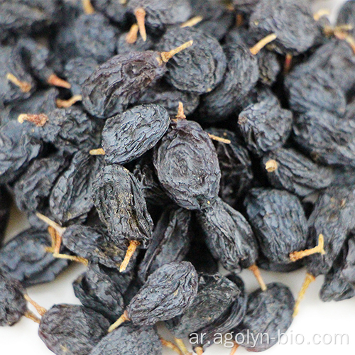 أعلى درجة ذهبية أخضر أسود Red Raisin المجففة