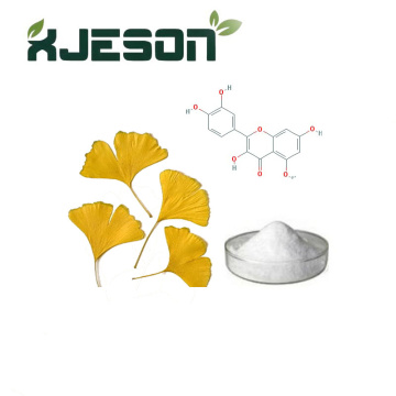 Ginkgo Biloba Leaf Extrait Powder