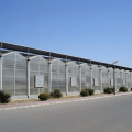 Venlo Multi-Span PC Board Greenhouse Agricultural