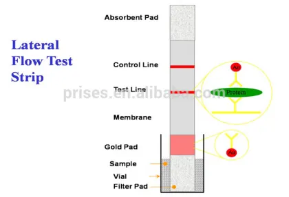 Pathological Analysis Equipments Type cow pregnancy test device for home use
