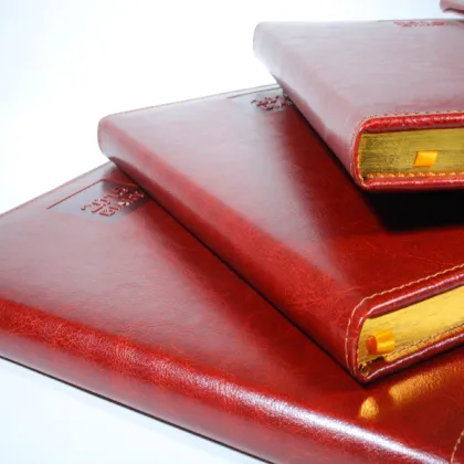 Personalized Notebook agenda printing with elastic and jacket