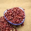 Dried Red Kidney Beans 450g Rich Fiber Potassium