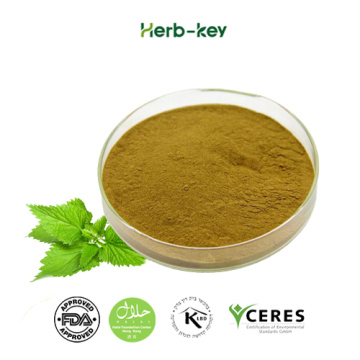 10:1 ratio of nettle extract powder