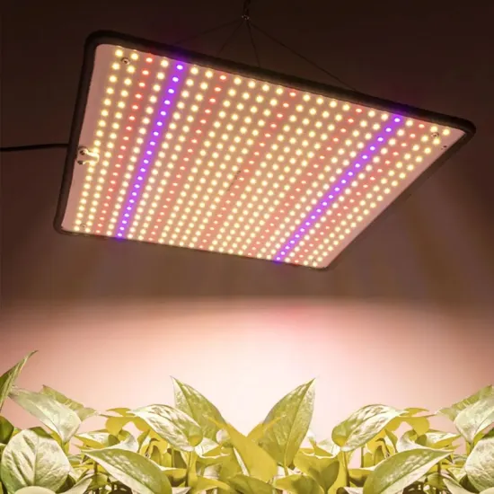 Full Spectrum 1200W LED Grow Light: Quantum Board by Samsung for Indoor Plant Growth in Grow Tents