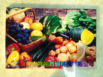 Ceramic Photo Toner Printing Machine (Colorful 1225)
