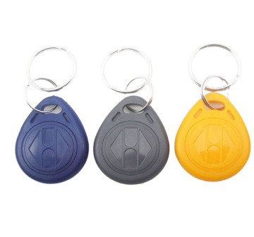 EM4100 & TK4100 RFID Key Tags: 125KHz EM Keyfobs for Access Control & Asset Tracking