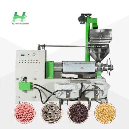 Soya Moringa Canola Oil Press Machine: Cold Pressed Oil Expeller with Vacuum Filter