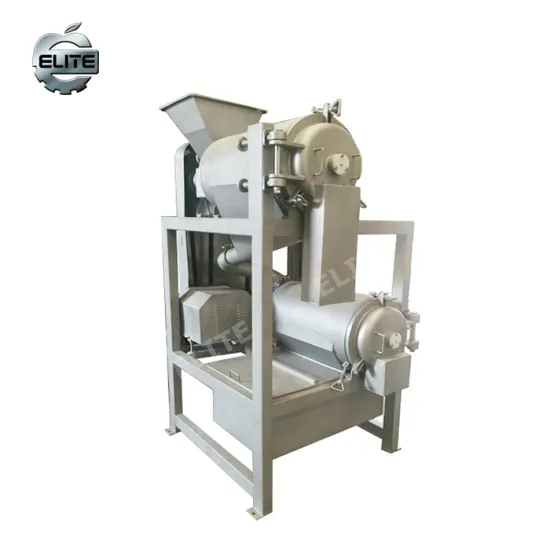 Commercial Mango Juicer Machine | Small Mango Processing Machine | Mango Pulp Making Machinery