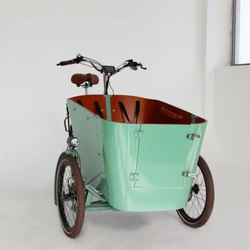 Electric Cargo Bike with Swing Balance Device: 26 Inch Nexus 3 Speeds