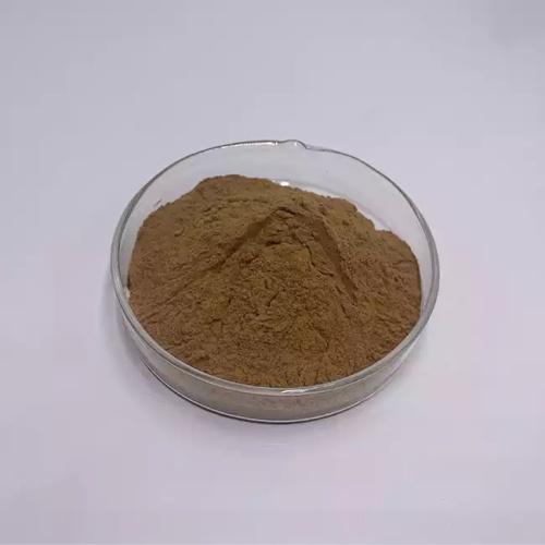 Pure Maca Root Extract Powder