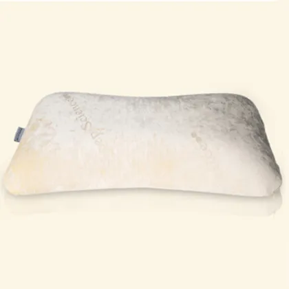 Sleep Better Slumber Fresh Polyester King Bed Pillow