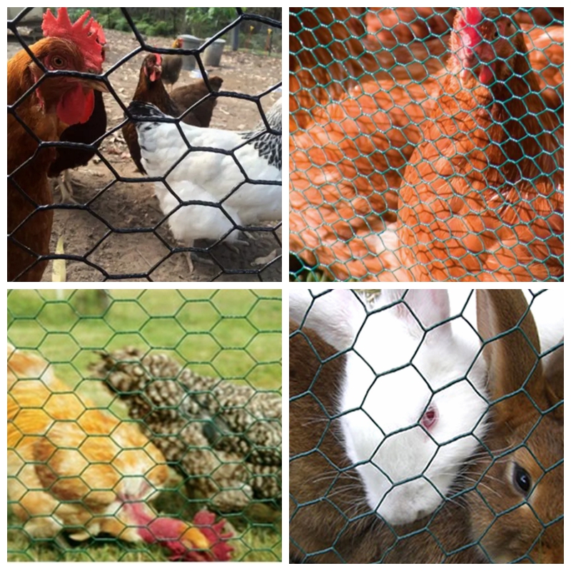 chicken wire mesh app