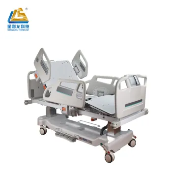 Multi-function Electric Bed with Weighing Function