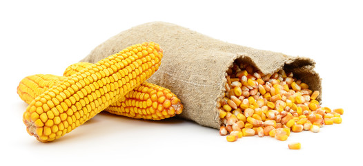 Aflatoxin Binder