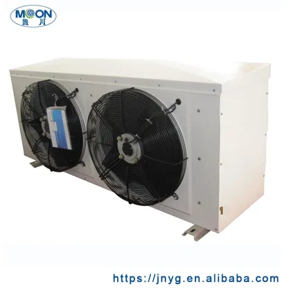 Moon Copeland Compressor for Cold Room Fan Motor and Evaporator