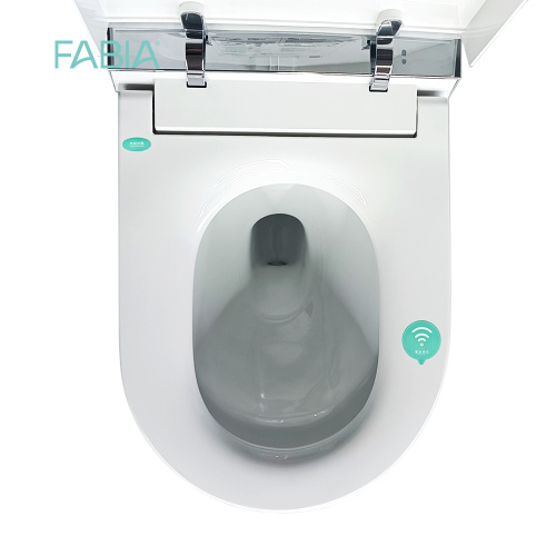 Electric Smart Toilet With Bidet Wash Function