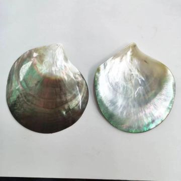 Large Natural Shell Pendant Black Mother of Pearl for Jewelry DIY