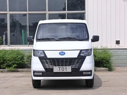 EU Certified Wanxiang T01 Logistics Van for New Energy Cargo Transport