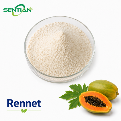 Natural Rennet Extract from Plant Sources