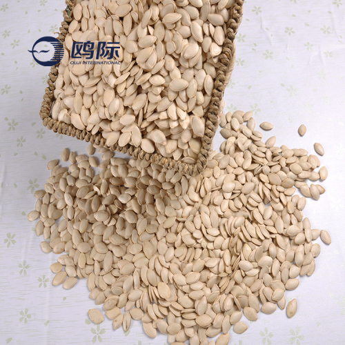proveedor de China Nueva cosecha de alta calidad de semillas de calabaza blanca como la nieve con el mejor precio