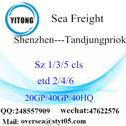 Shenzhenhaven Zeevracht Verzending naar Tandjungpriok