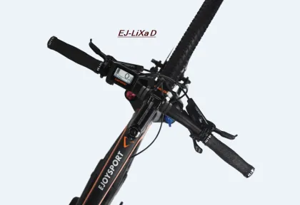 Cube E Mountain Bike LiXa