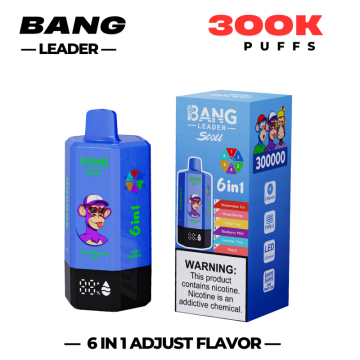 BANG LEADER 300000 300K Puffs Disposable Vape Pen