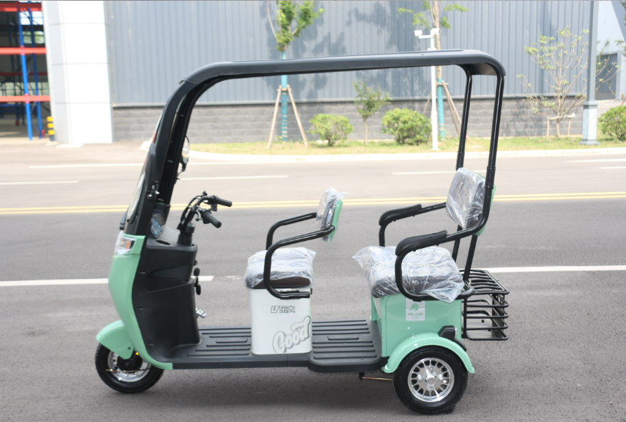 Electric Tricycles with Roof