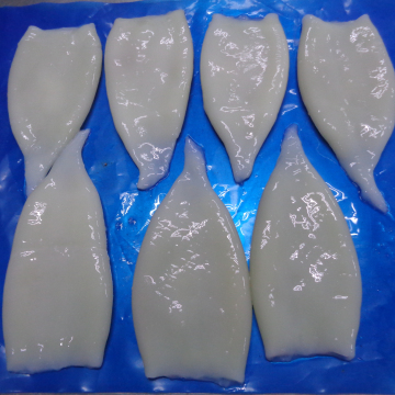 Frozen squid tube Todarodes Pacificus