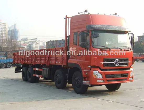 Dongfeng 8x4 cargo truck