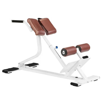 Commercial Gym Exercise Equipment Back Extension Bench