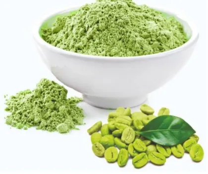 weight loss Green coffee bean extract