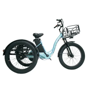 Factory Fast Speed Lithium Battery Electric Tricycle - 3 Wheels 1000w Motor Electric Cargo Bike at Cheap Price