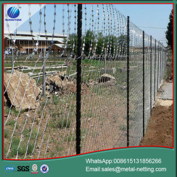 security flat razor wire concertina flat wire
