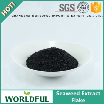 Flake Seaweed Extract Seaweed Fertilizer Seaweed Extract Fertilizer Kelp Extract Fertilizer