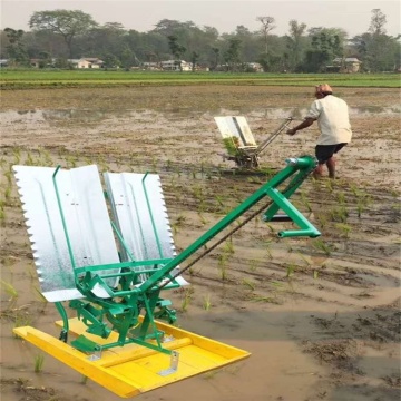Agricultural 2-Row Manual Paddy Rice Transplanter