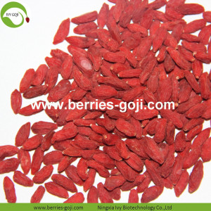 Factory Supply Fruit Natural Top Quality Goji Berries