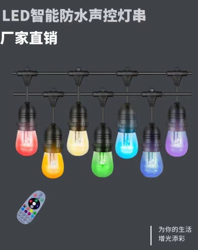 LED string light (4)