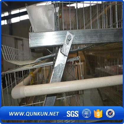 2017 new product fowl cage sales