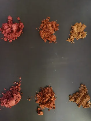 FORWARD 6510H Foundation Make-up Eyeshadow Pigment Powder