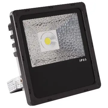10W LED Flood Light with Citizen LED COB light source