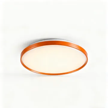 Stylish LED Ceiling Light for Dining Room