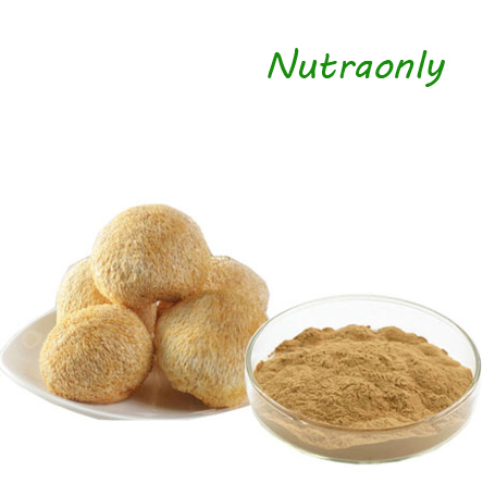 GMP Factory Supply Wholesale Organic Lion's Mane Mushroom Extract Extrait de Hericium Erinaceus